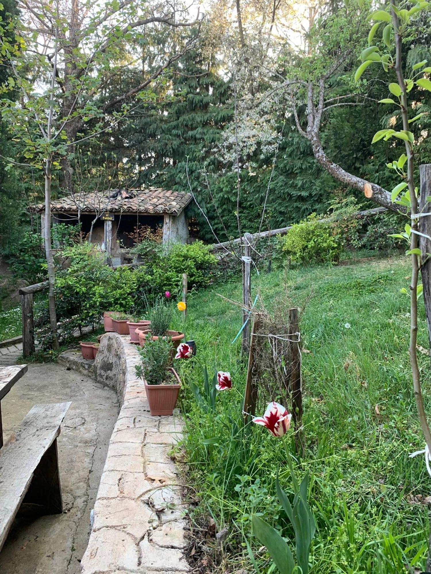 Agriturismo Carrozzino Sersale Exterior foto